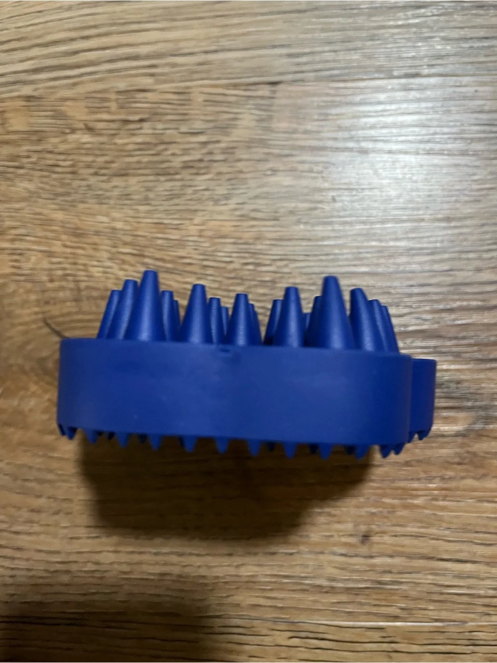 Top Paw Curry Brush, Dog, Blue, One Size, Grooming